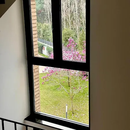 With Pool And Parking Appartement